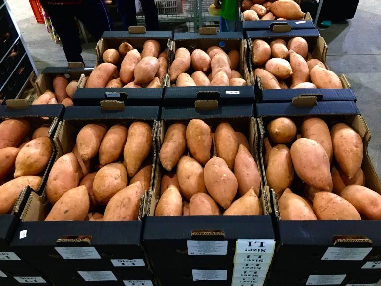 Beauregard Sweet Potatoes